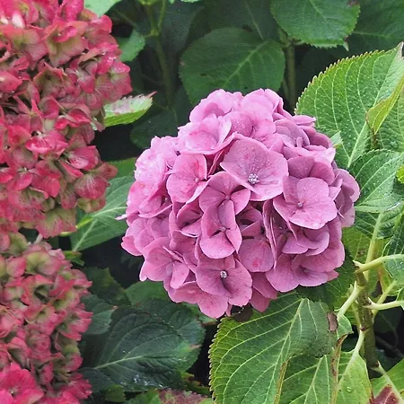 Le Pre Du Buis فندق مبيت وإفطار