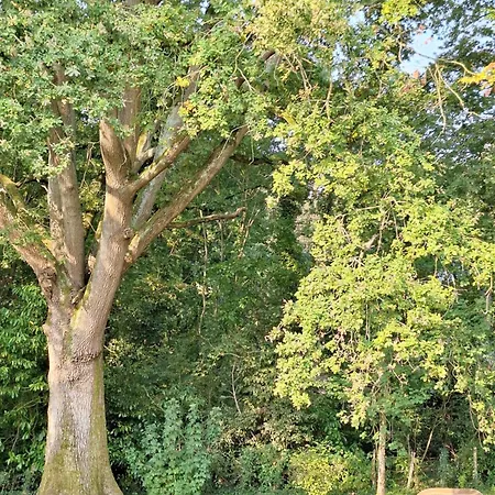 Le Pre Du Buis Yvré-lʼÉvêque