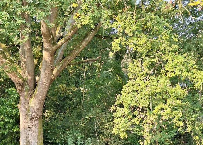 Le Pré Du Buis Yvré-lʼÉvêque